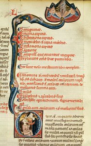 MS.Lat.6912 Iluminaciones del volumen 2 del Continens de Rhazes sobre oftalmología y enfermedades del ojo, 1282 de Giovanni da Monte Cassino